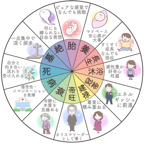 十二運星|四柱推命の十二運とは？年柱・月柱・時柱とあわせて分かりやす。